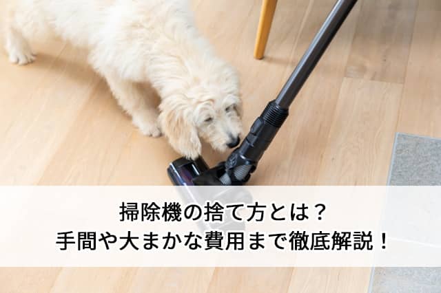 掃除機の捨て方とは？手間や大まかな費用まで徹底解説
