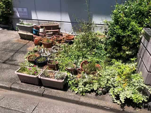 大量のプランターや土