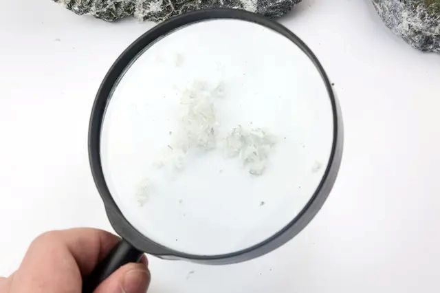 アスベストと虫眼鏡